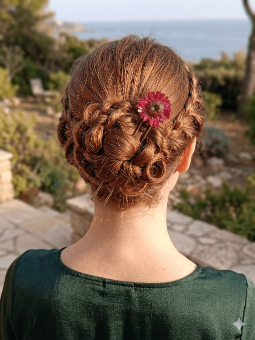 Gerbera 