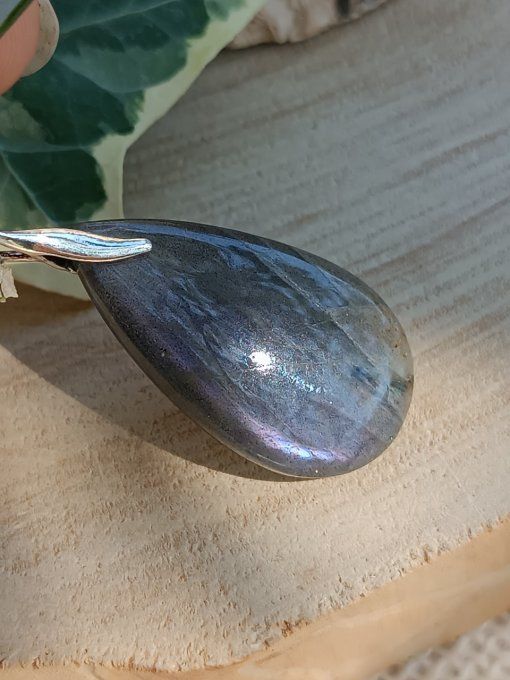 Labradorites (violettes)