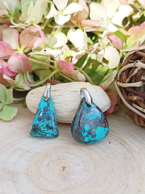 Chrysocolles d'Afrique 