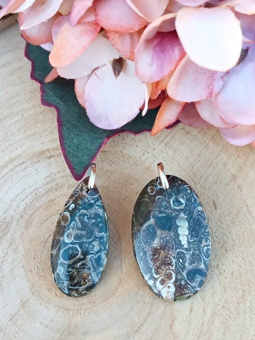 Agate turitelle
