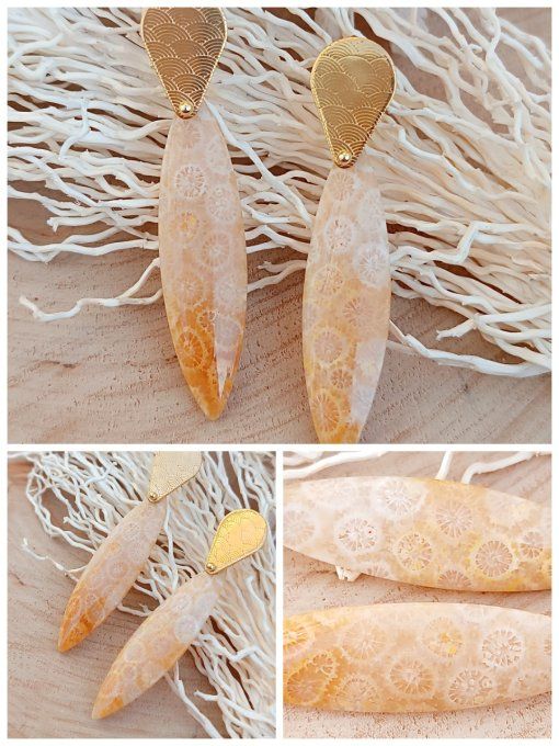 Corail fossilisé 