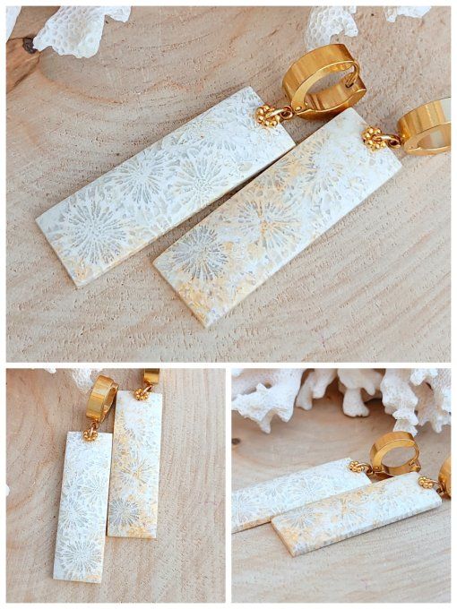 Corail fossilisé 