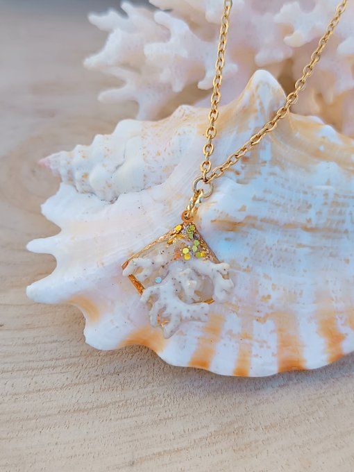 Corail blanc 