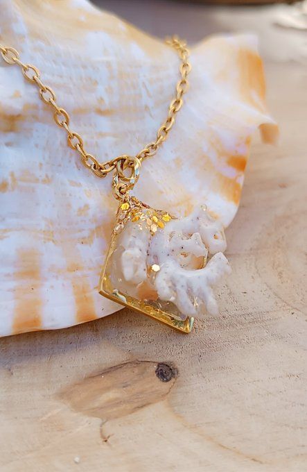 Corail blanc 