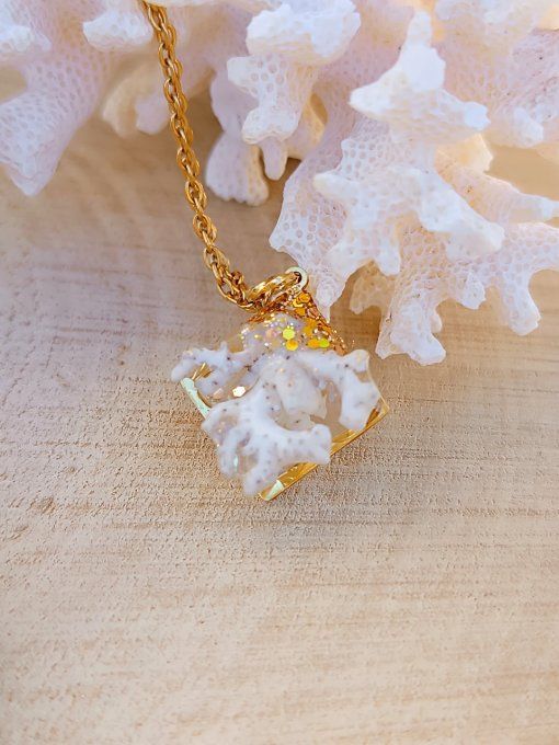 Corail blanc 