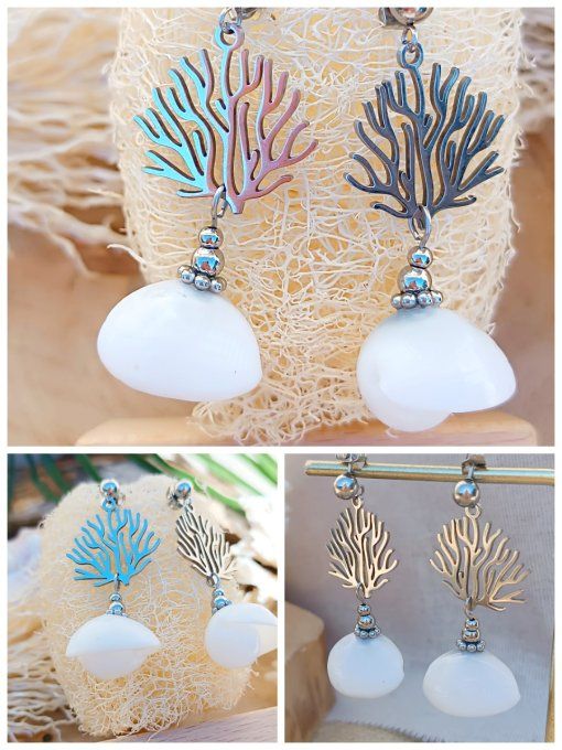 Coquillages