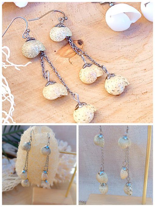 Coquillages