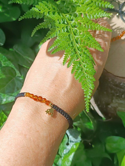 Perles d'ambre 