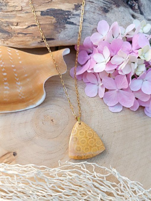 Corail fossilisé