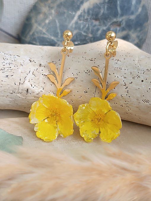 Bouton d'or