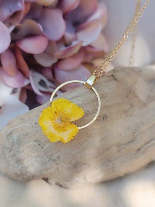 Bouton d'or