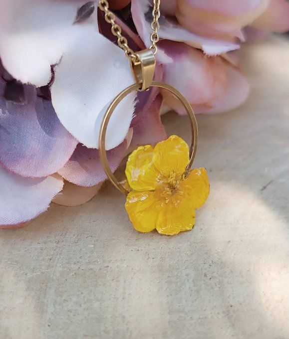 Bouton d'or