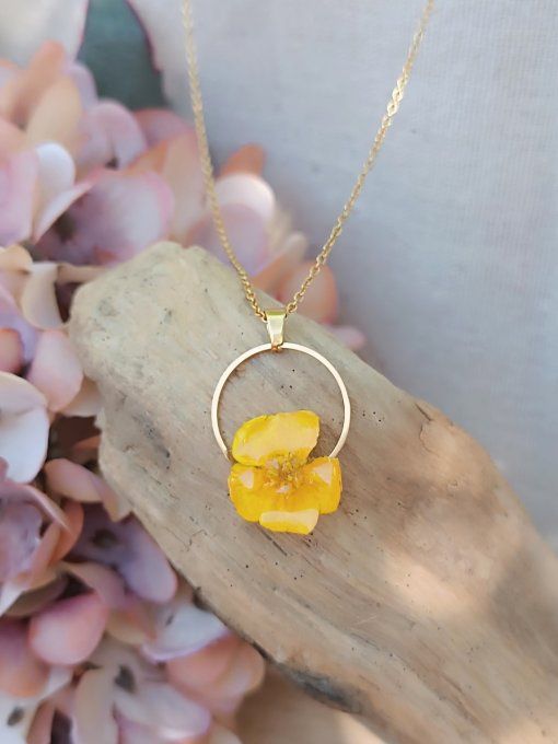 Bouton d'or