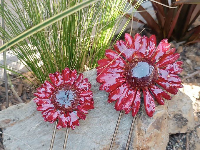 Gerbera 